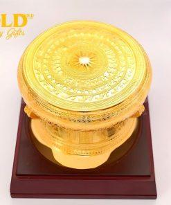 trong-dong-f20-ma-vang-24k-4